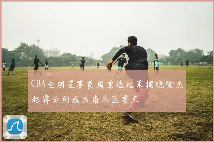 CBA全明星赛首周票选结果揭晓徐杰赵睿分别成为南北区票王