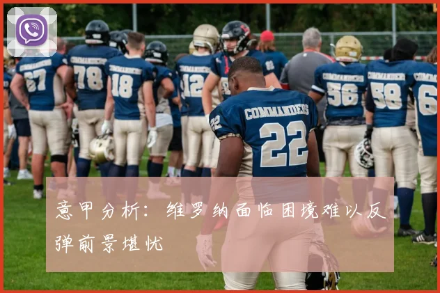意甲分析：维罗纳面临困境难以反弹前景堪忧